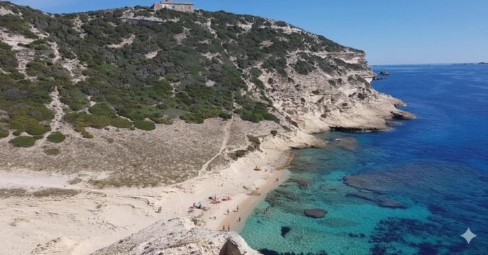 Vue de la plage de Gurgazu à Bonifacio, avec falaises calcaires et eau turquoise.