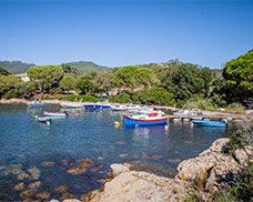 camping club Sari Solenzara