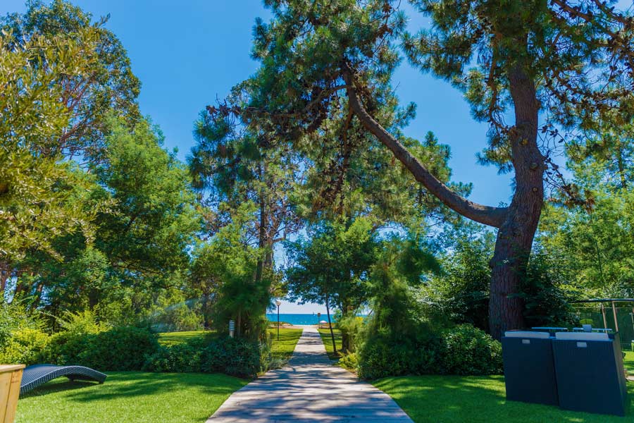 Location villa Corse