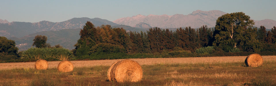 Aléria camping