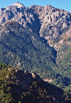 monte d'oro