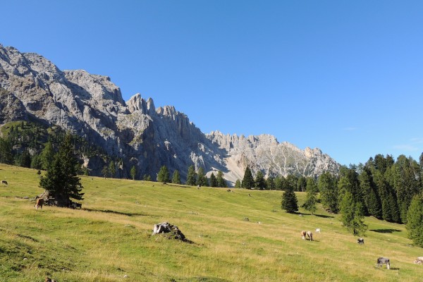 gr20 prati