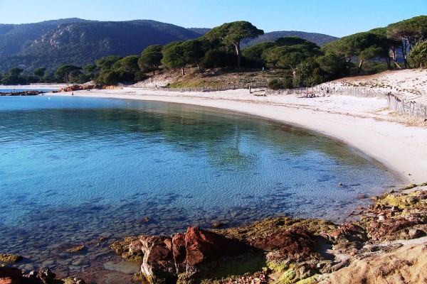 plage palombaggia