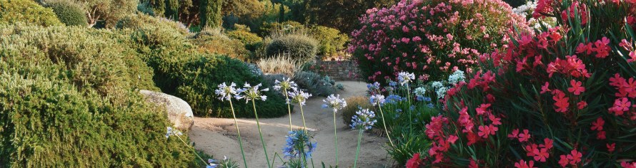 Jardin botanique en Corse