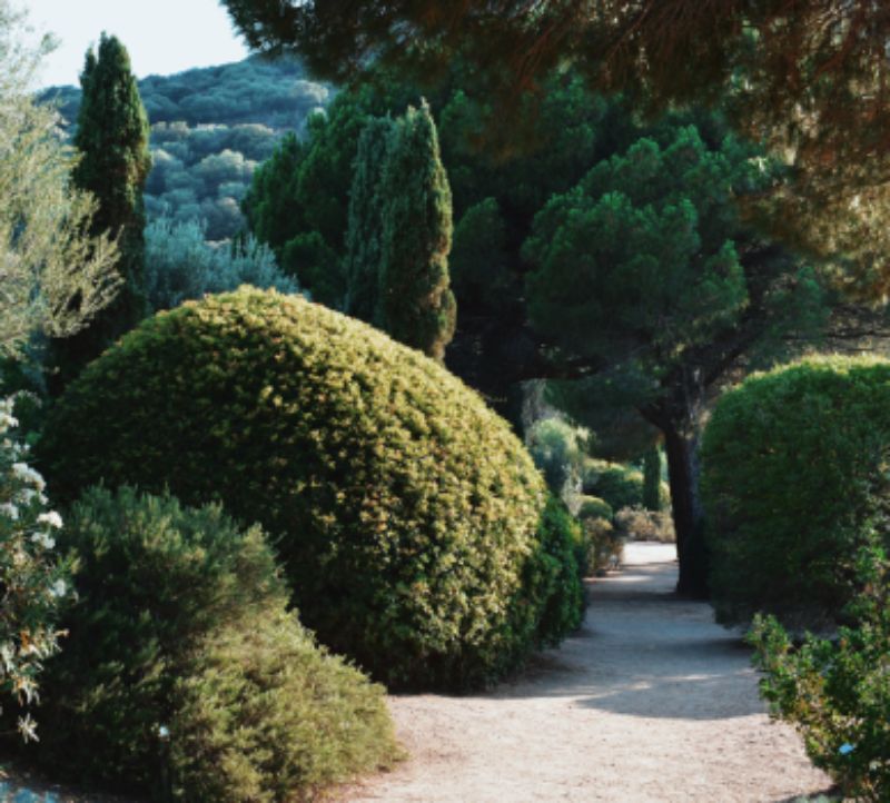 Une balade au Parc de Saleccia