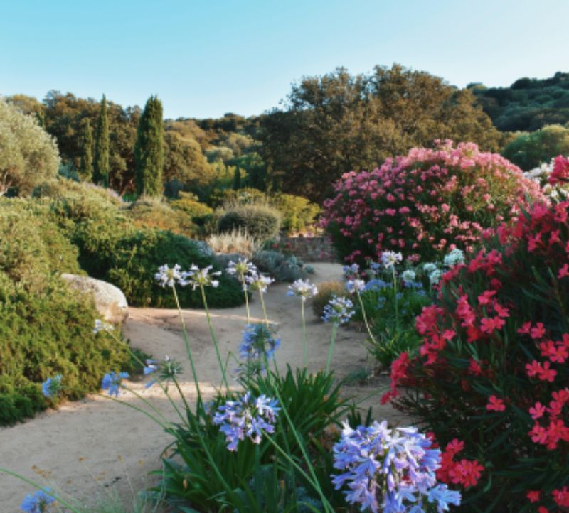 parc Saleccia