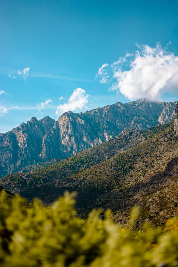 corte montagne